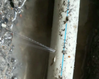贡嘎卫生间测漏水多少钱