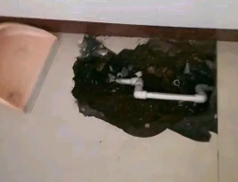 贡嘎卫生间测漏水多少钱
